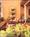 Hotel Sausalito::BedAndBreakfast.com