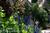 The Garden Cottage Bed & Breakfast::BedAndBreakfast.com
