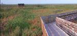 Laguna Madre Nature Trail