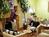 Cypress Inn on Miramar Beach::ProfessionalTravelGuide.com