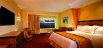 Tn-t19530_room_01_f
