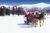 The Lodge at Bretton Woods::ProfessionalTravelGuide.com