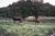 CHARMING SONOMA VALLEY WINE COUNTRY COTTAGE::PetFriendly.com