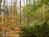 Vintage Gardens Bed and Breakfast::BedAndBreakfast.com