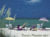 Sanibel and Captiva Islands::David meardon