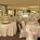 Ontario Airport Marriott::Hotels.com