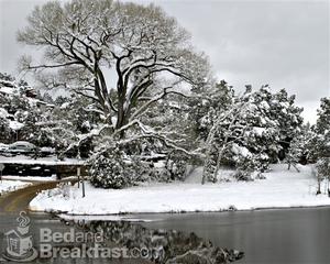 Verde River Rock House::BedAndBreakfast.com