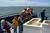 James V. Fitzgerald Marine Reserve from San Mateo County CVB