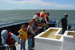 James V. Fitzgerald Marine Reserve