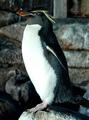 Milwaukee County Zoo