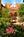 Inn at St. John's::Orbitz