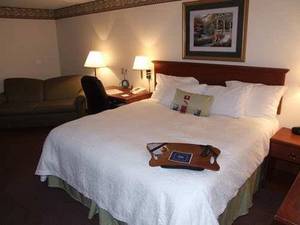 Hampton Inn N Sioux City::Travelocity.com