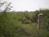 Miraval Life in Balance::TripAdvisor