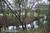 Decker Creek Bed & Breakfast & Biscuit::BedAndBreakfast.com