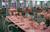 Island Inn::Orbitz