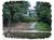 Forest Springs Bed and Breakfast::BedAndBreakfast.com