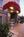 Anchorage Grand Hotel::ProfessionalTravelGuide.com