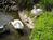 Embassy Suites Hotel�� Napa Valley-Wine Country::VirtualTourist