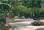 Hyatt Fair Lakes::Hotels.com