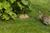 Farmhouse Bed & Breakfast::TripAdvisor