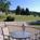 Bella Vista::Priceline.com