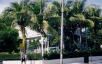 Southernmost Point Guest House