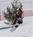 Camp 10 Ski & Snowboard::Camp10skiandsnowboard.com