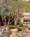 Luxe Summit Hotel Bel Air::Orbitz