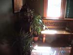 Tn-zb_2226-suite-4