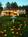 Manor On Golden Pond::Priceline.com