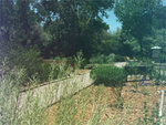 Rio Grande Nature Center
