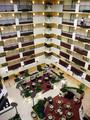 Embassy Suites Hotel Fort Myers, Fl