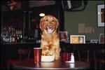 Norm's Eatery & Ale House