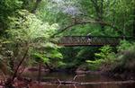 Big Thicket National Preserve