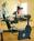 Best Western Countryside Inn::Priceline.com