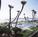 Best Western Mainsail Inn & Suites::Orbitz