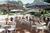 Radisson Resort Orlando-Celebration, FL::Expedia