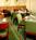 Courtyard by Marriott Rochester West::Travelocity.com