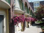 Waterloo Inn