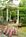 The White Doe Inn::BedAndBreakfast.com