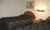 Howard Johnson Express Inn - Rocky Hill::Orbitz