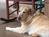Beechwood Inn - Bed Breakfast and Wine Cellar::TripAdvisor