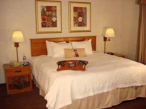 Hampton Inn & Suites Chicago/Aurora, IL::Travelocity.com