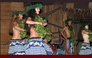 Web-rlr_luau05
