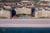 Edgewater Beach Resort from Yahoo! Travel