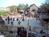 Knott's Berry Farm::ThrillNetwork.com