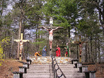 Tn-263192668_fe68e97307_m
