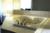 Holiday Inn Express Absecon-Atlantic City Area::Priceline.com