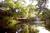 Sunrise Springs Inn And Resort::Expedia