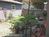 The Italianate Circa 1890 Bed and Breakfast::BedAndBreakfast.com